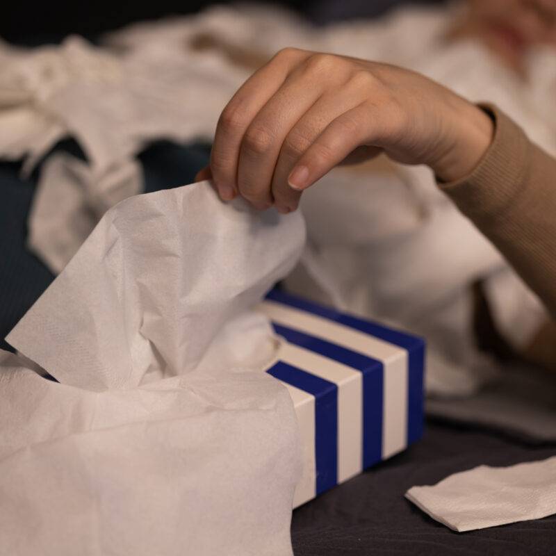 lotus care taking tissues